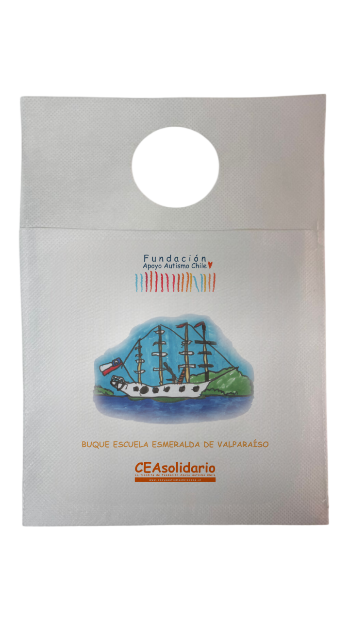 Buque Escuela Esmeralda de Valparaíso 3