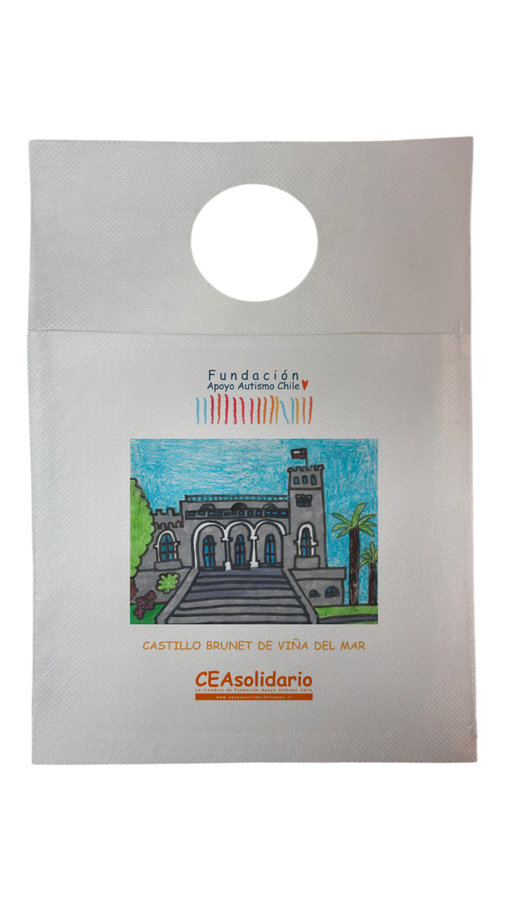 Castillo Brunet de Viña del Mar 3