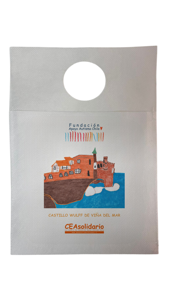Castillo Wulff de Viña del Mar 1