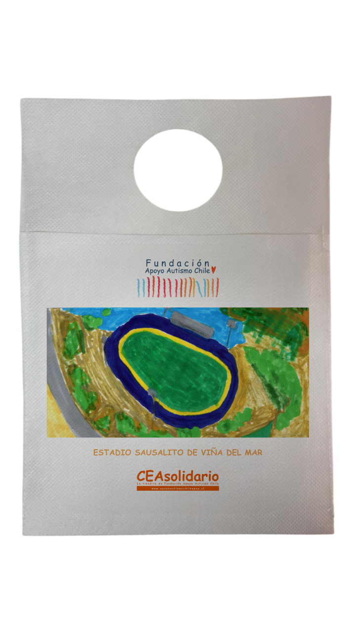 Estadio Sausalito de Viña del Mar 1
