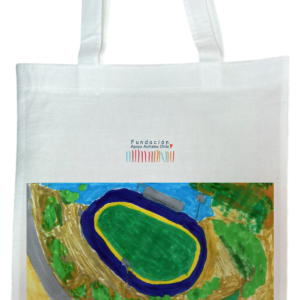 Estadio Sausalito de Viña del Mar 1