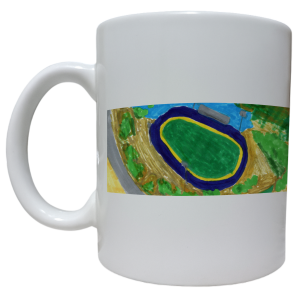 Estadio Sausalito de Viña del Mar 1