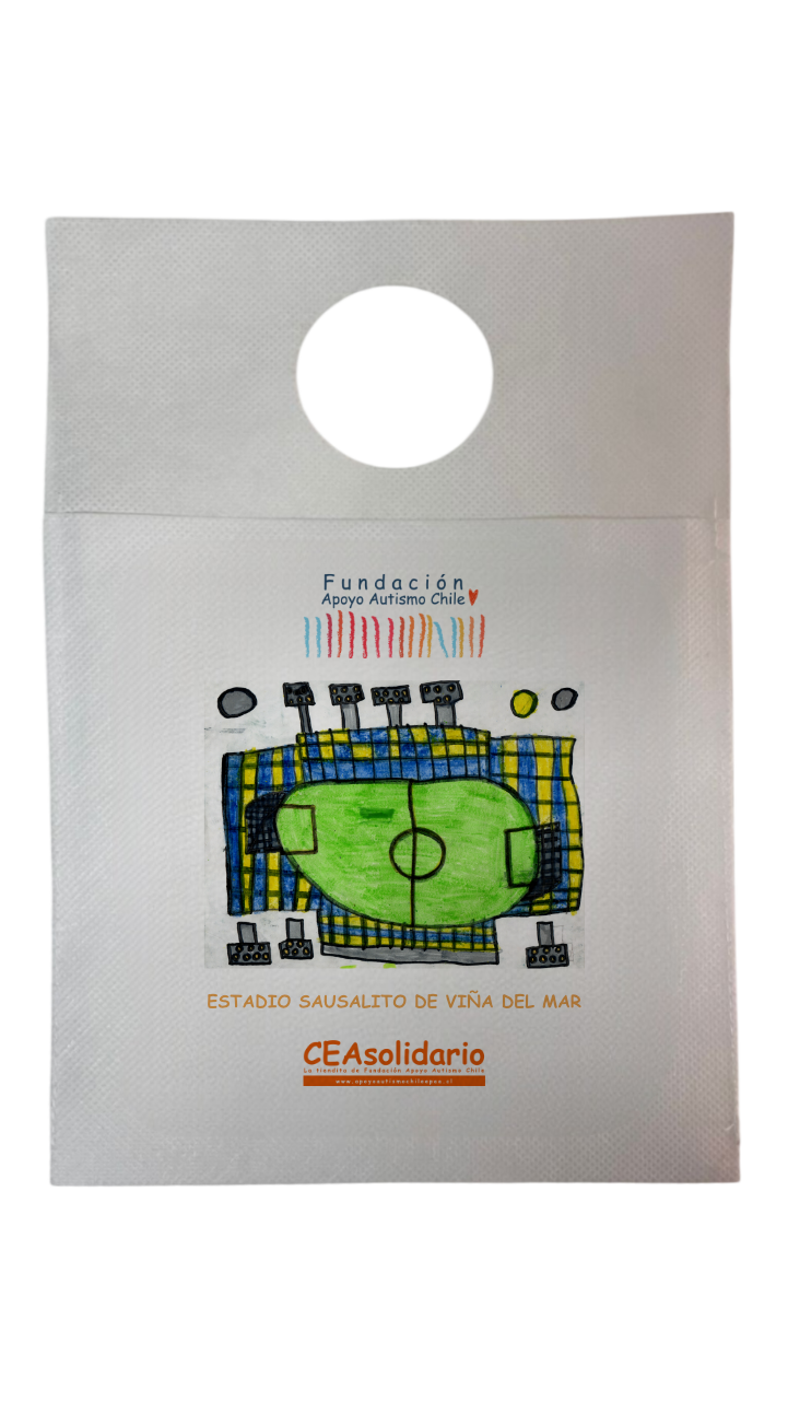 Estadio Sausalito de Viña del Mar 2