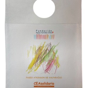 Paseo Atkinson de Valparaíso 2