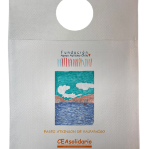 Paseo Atkinson de Valparaíso 4