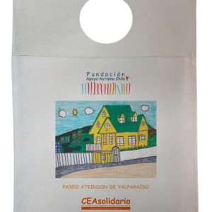 Paseo Atkinson de Valparaíso 5