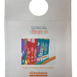 Paseo Atkinson de Valparaíso 6