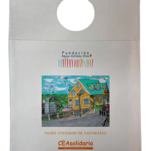 Paseo Atkinson de Valparaíso 7