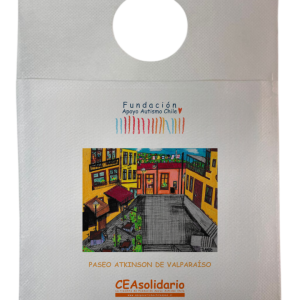 Paseo Atkinson de Valparaíso 8