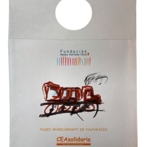 Paseo Wheelwright de Valparaíso 1