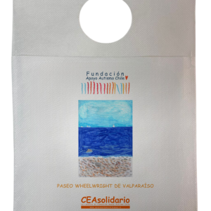 Paseo Wheelwright de Valparaíso 2