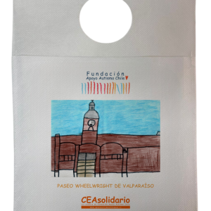 Paseo Wheelwright de Valparaíso 3