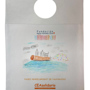 Paseo Wheelwright de Valparaíso 4