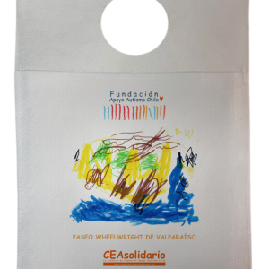 Paseo Wheelwright de Valparaíso 5