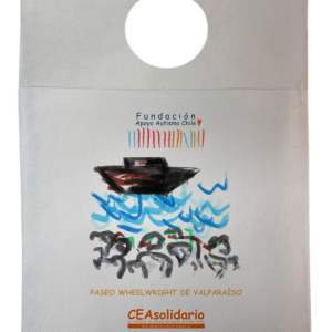 Paseo Wheelwright de Valparaíso 6