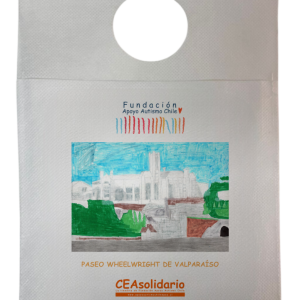 Paseo Wheelwright de Valparaíso 7