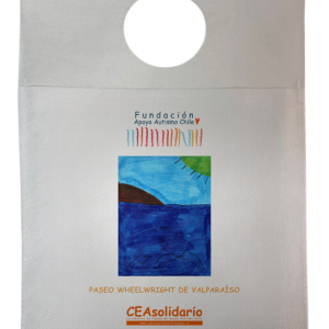 Paseo Wheelwright de Valparaíso 8