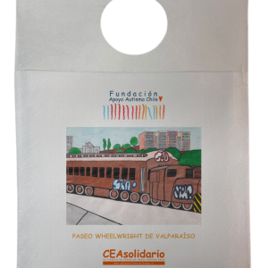 Paseo Wheelwright de Valparaíso 9