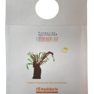 Paseo Yugoslavo de Valparaíso 6