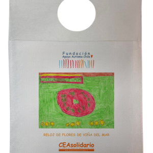 Reloj de Flores de Viña del Mar 2