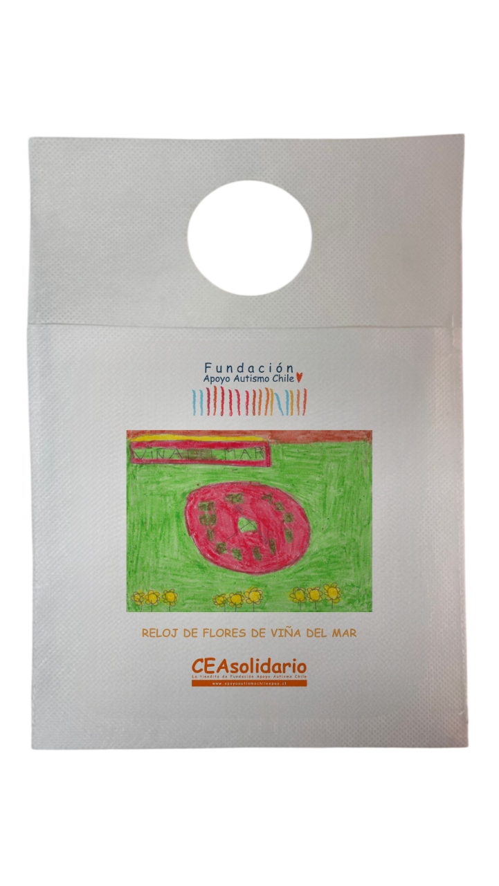 Reloj de Flores de Viña del Mar 2