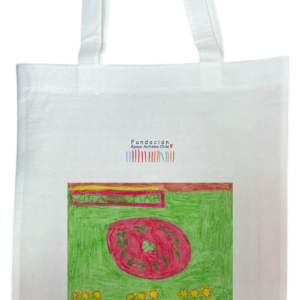 Reloj de Flores de Viña del Mar 2