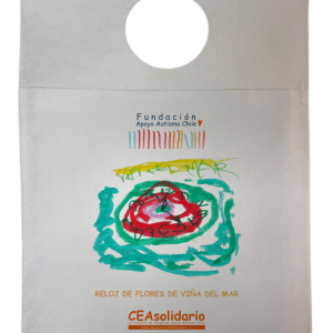 Reloj de Flores de Viña del Mar 3