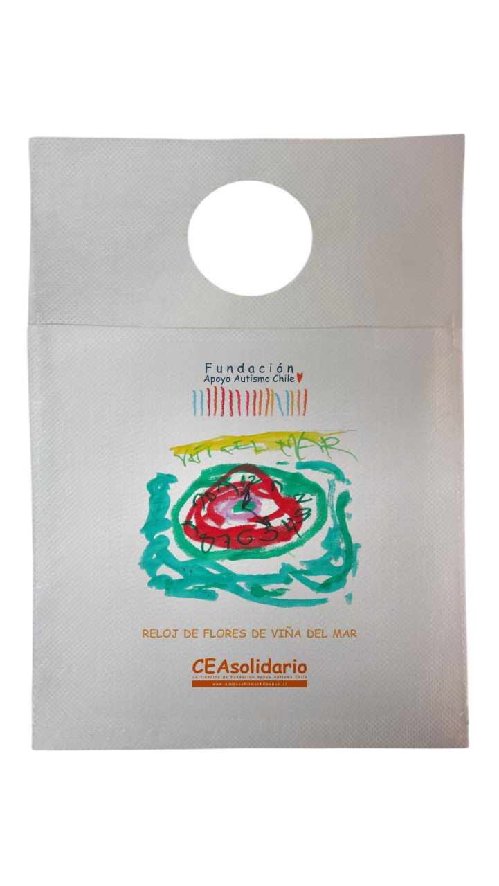 Reloj de Flores de Viña del Mar 3