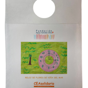Reloj de Flores de Viña del Mar 4