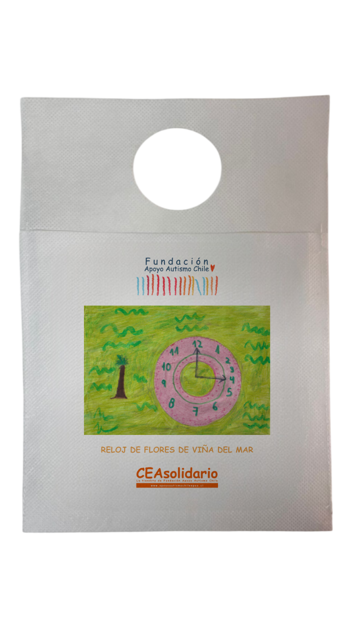 Reloj de Flores de Viña del Mar 4