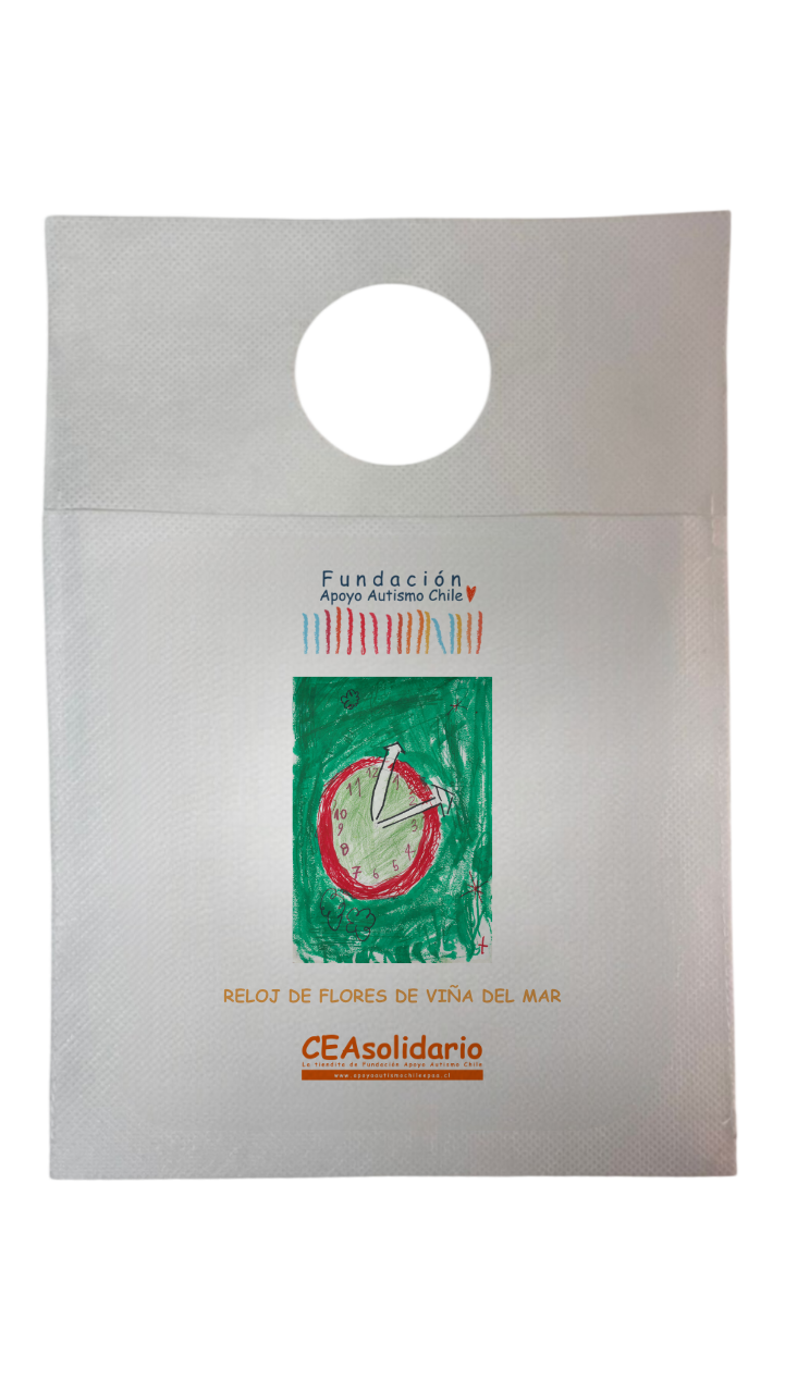 Reloj de Flores de Viña del Mar 5