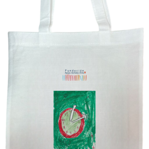 Reloj de Flores de Viña del Mar 5