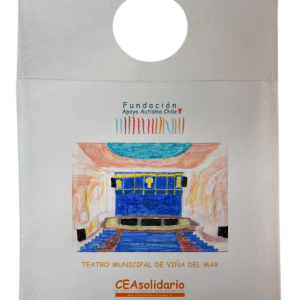 Teatro Municipal de Viña del Mar 1