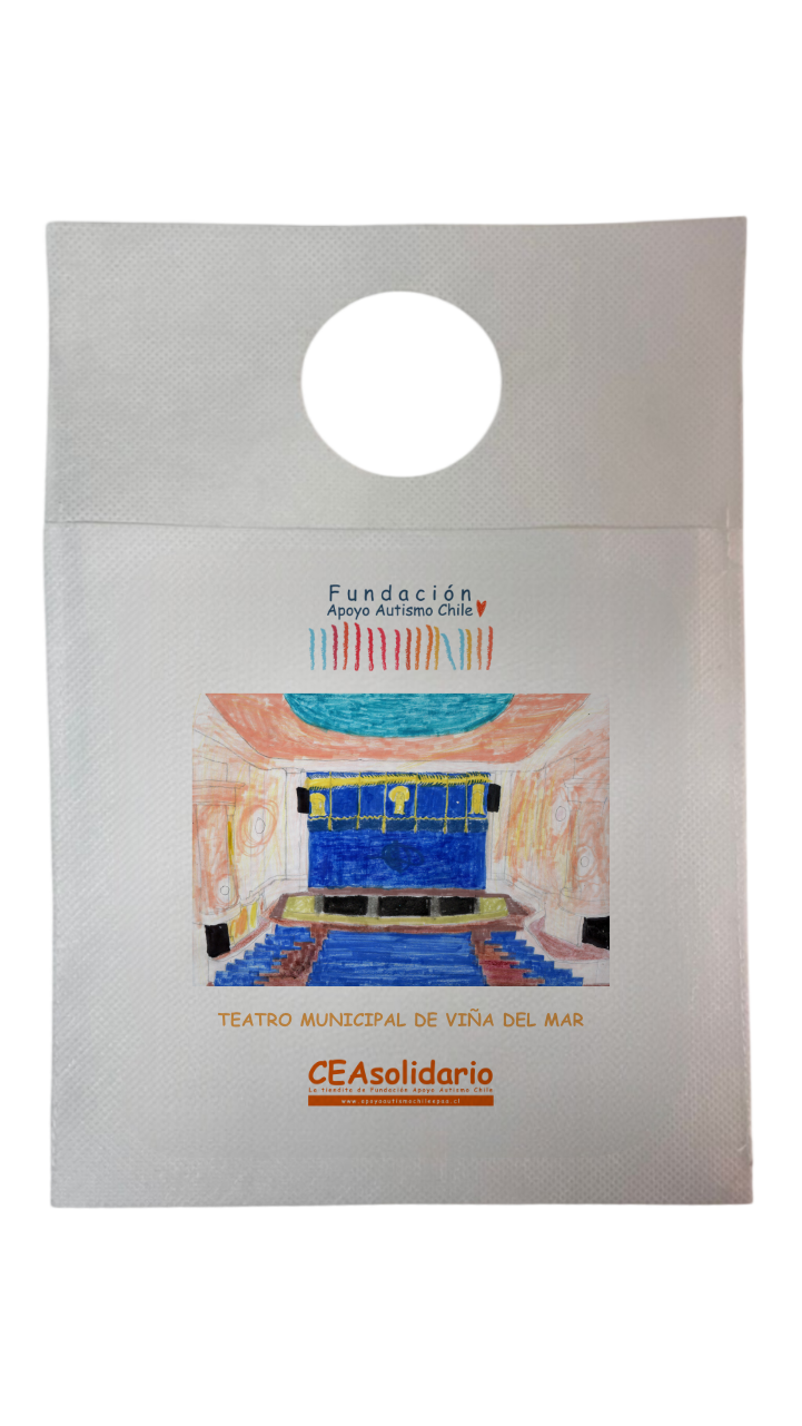 Teatro Municipal de Viña del Mar 1