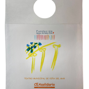 Teatro Municipal de Viña del Mar 3
