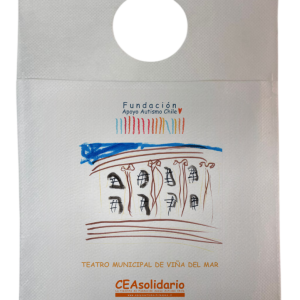 Teatro Municipal de Viña del Mar 4