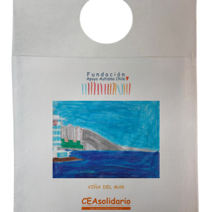 Viña del Mar